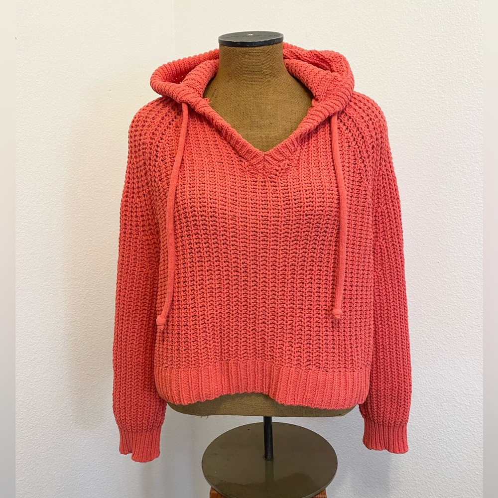 Aerie Women’s Chenille Coral Pullover Chunky Knit Sweater S Hooded Boxy Cropped